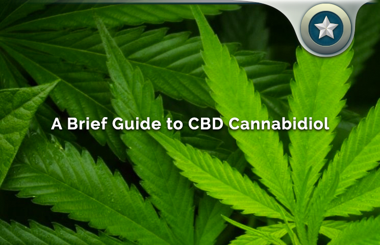 A Concise Guide To Cannabidiol (CBD) And Its Benefits, Uses & Effects