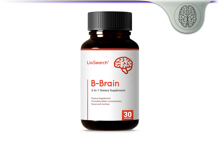 LioSearch B-Brain