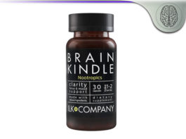 ILK Company Brain Kindle