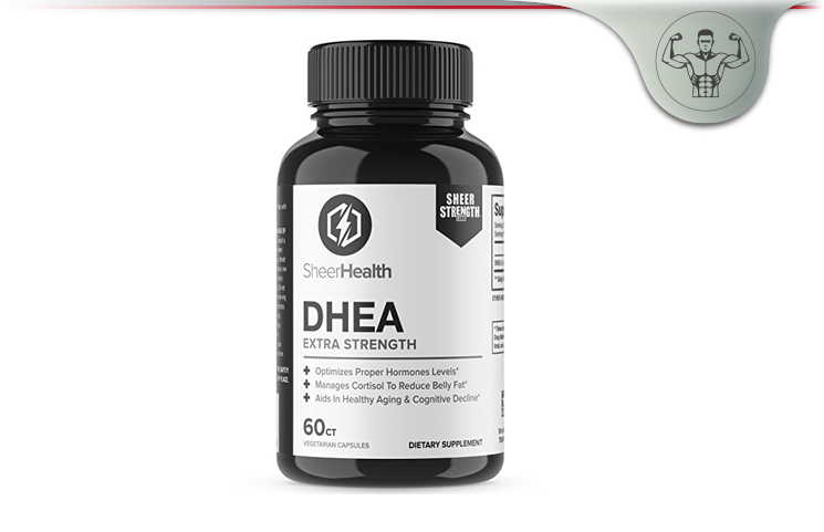 Sheer Strength Labs DHEA