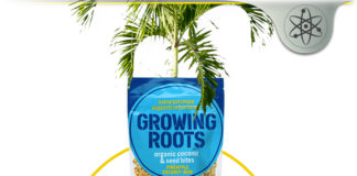 Growing Roots: Organic Snacks That Support Urban Farming? Growing Roots